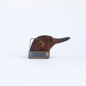 Duck in box, mixed media