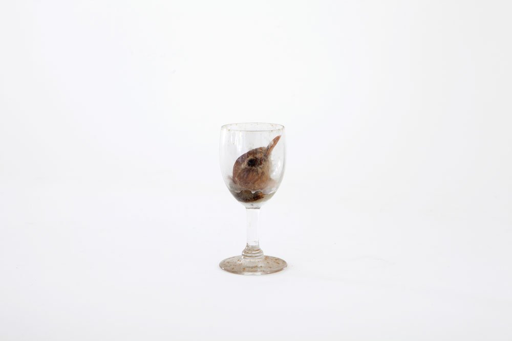 Encupsulated series, mixed media sculptures, Cup 01