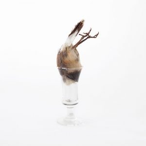 Encupsulated Body, mixed media series