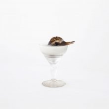 encupsulated-sinking Encupsulated sinking