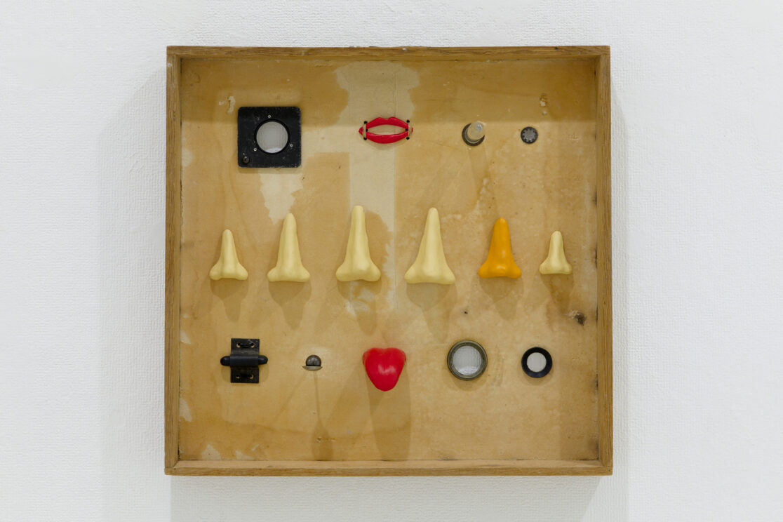 We Will Thrive Again, assemblage, Cristina Reyes